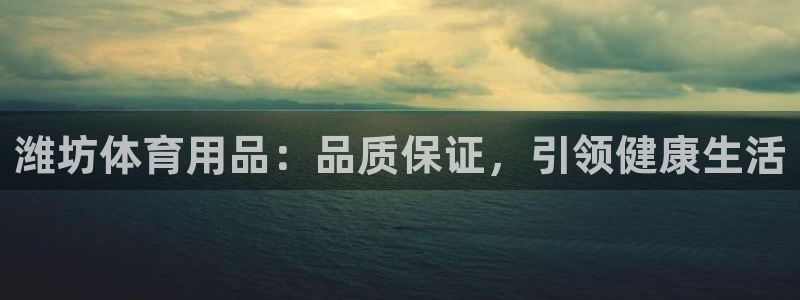 欧陆娱乐官网下载安装最新版：潍坊体育用品：品质保证，