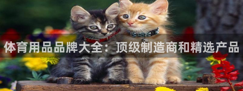 欧陆娱乐代理 贴吧：体育用品品牌大全：顶级制造商和精