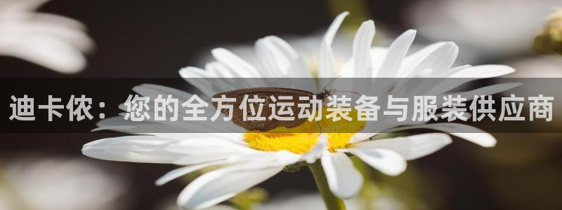 欧陆娱乐怎么注册会员号：迪卡侬：您的全方位运动装备与