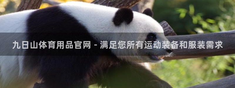 欧陆娱乐是正规平台吗安全吗知乎：九日山体育用品官网 