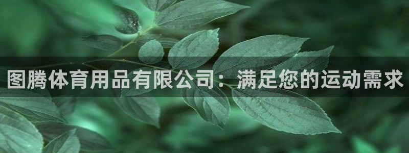 欧陆娱乐官网网址：图腾体育用品有限公司：满足您的运动需求