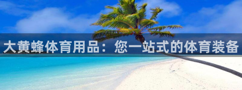 欧陆娱乐官网首页：大黄蜂体育用品：您一站式的体育装备