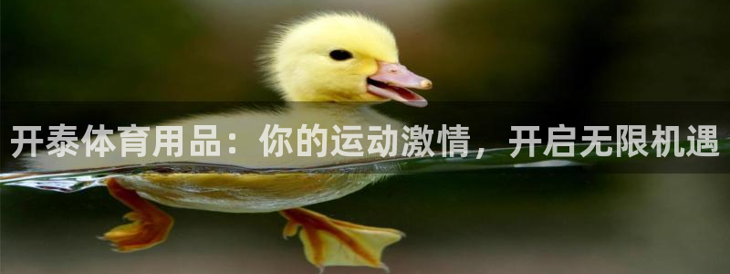 欧陆娱乐官网下载安装手机版：开泰体育用品：你的运动激