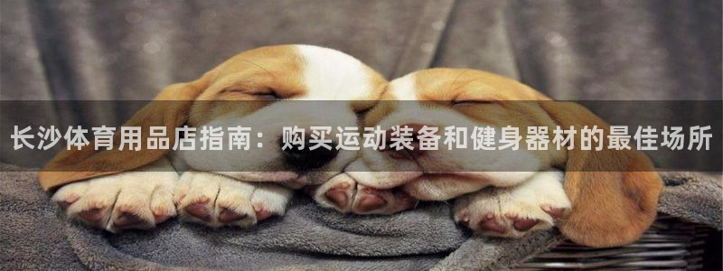 欧陆娱乐官网注册中心：长沙体育用品店指南：购买运动装