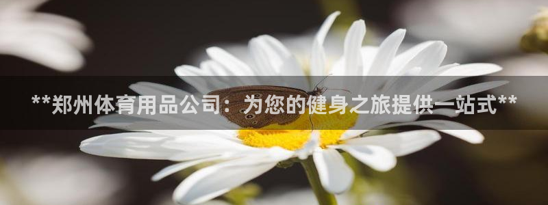 欧陆娱乐代理多少个点位：**郑州体育用品公司：为您的