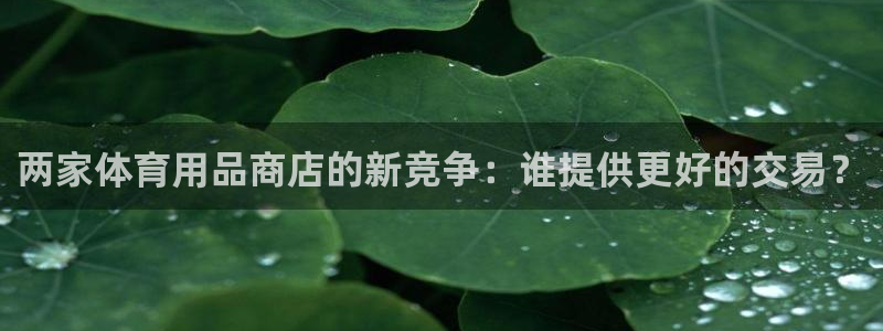 欧陆娱乐登陆官网入口：两家体育用品商店的新竞争：谁提