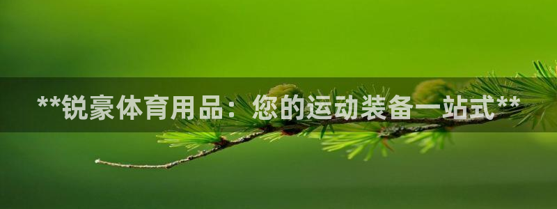 欧陆娱乐代理多少个点位啊：**锐豪体育用品：您的运动