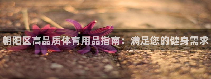 欧陆娱乐登录官网下载：朝阳区高品质体育用品指南：满足您的健身