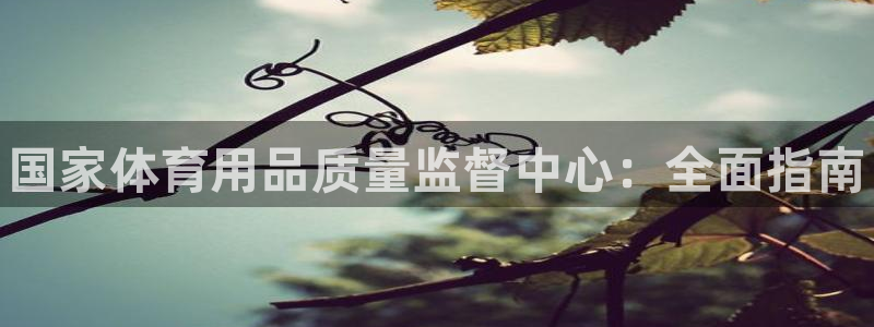 欧陆娱乐访问：国家体育用品质量监督中心：全面指南