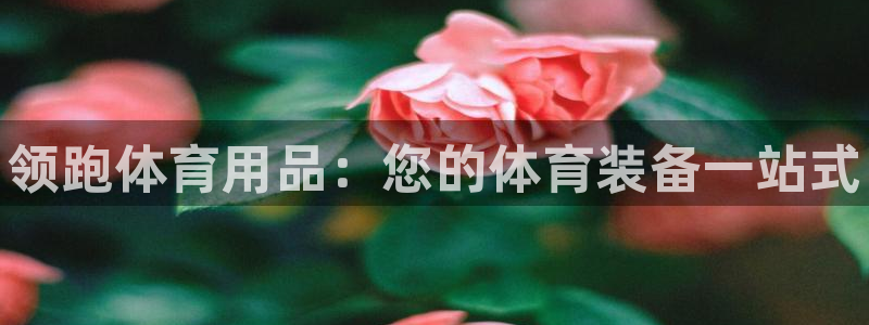 欧陆娱乐平台登陆地址是什么意思：领跑体育用品：您的体育装备一