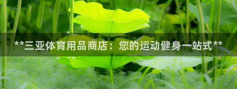 欧陆娱乐共创美好：**三亚体育用品商店：您的运动健身
