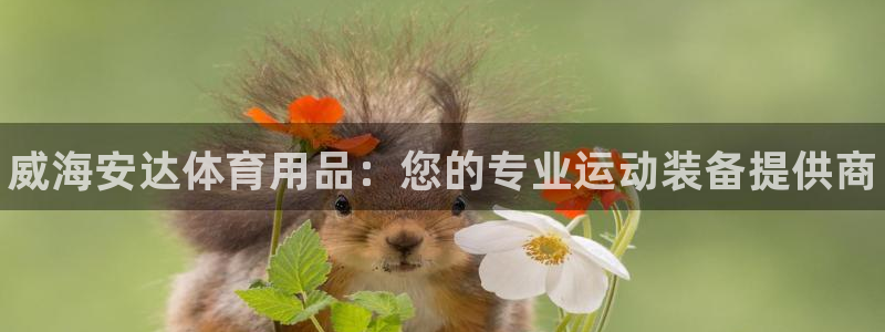 欧陆娱乐官方网站入口：威海安达体育用品：您的专业运动