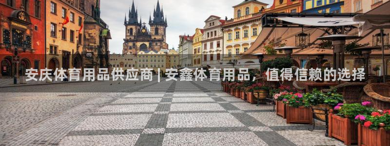 欧陆娱乐注册链接安全吗：安庆体育用品供应商 | 安鑫