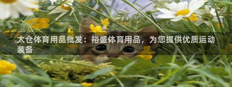 欧陆娱乐线路测速：太仓体育用品批发：裕盛体育用品，为您提供优