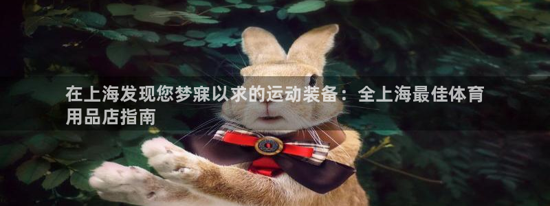 欧陆娱乐平台登陆地址是什么：在上海发现您梦寐以求的运动装备：
