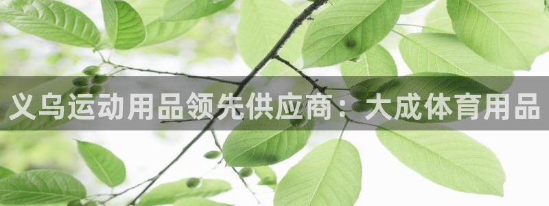 欧陆娱乐总代理：义乌运动用品领先供应商：大成体育用品