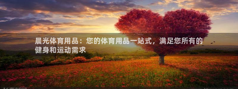 欧陆娱乐平台登录不上怎么办：晨光体育用品：您的体育用