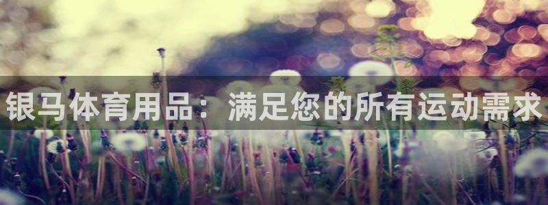 欧陆娱乐信誉如何：银马体育用品：满足您的所有运动需求