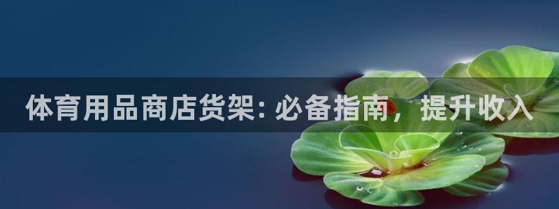 欧陆娱乐打什么方案：体育用品商店货架: 必备指南，提升收入