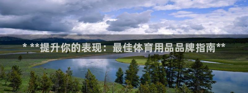 欧陆娱乐微信众：* **提升你的表现：最佳体育用品品