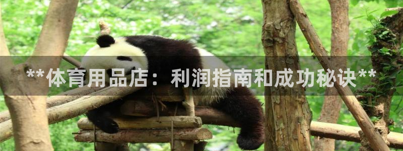 欧陆娱乐里面怎么看打排五：**体育用品店：利润指南和