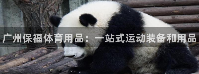 欧陆娱乐注册链接安全吗：广州保福体育用品：一站式运动装备和用