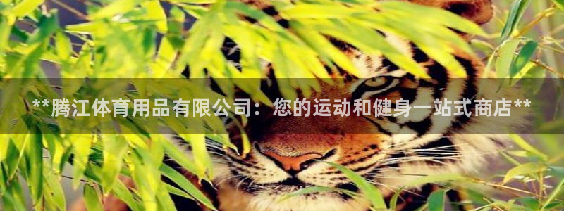 欧陆娱乐官方下载安装